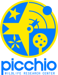 Picchio Shiretoko
