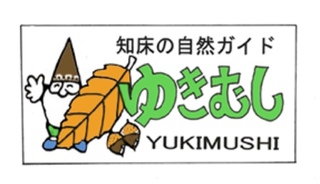 YUKIMUSHI